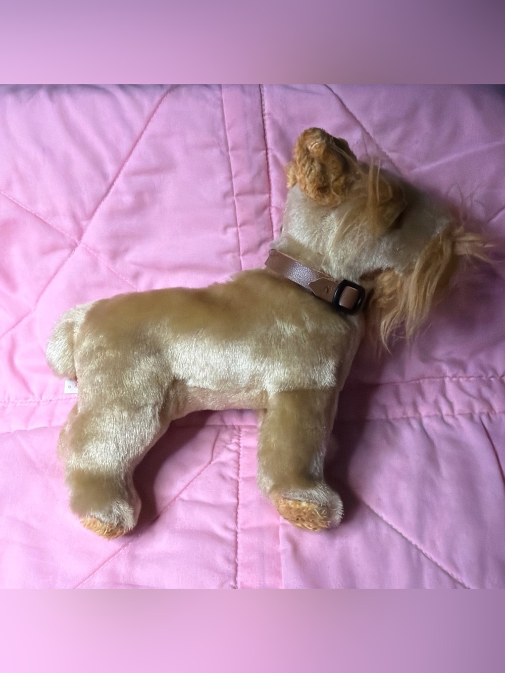 🤎 SCHNITZEL 🤎 2002 Ty Beanie Babies Tan Schnauzer DOG Mustache